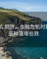 金融 危机 期货，金融危机时期货哪些品种涨哪些跌