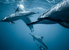 上海银行利率2020定期