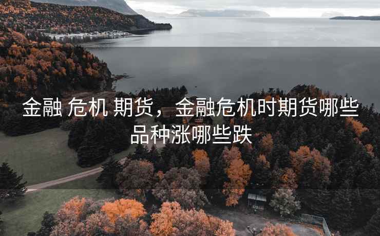 金融 危机 期货,金融危机时期货哪些品种涨哪些跌 金融 危机 期货,金融危机时期货哪些品种涨哪些跌