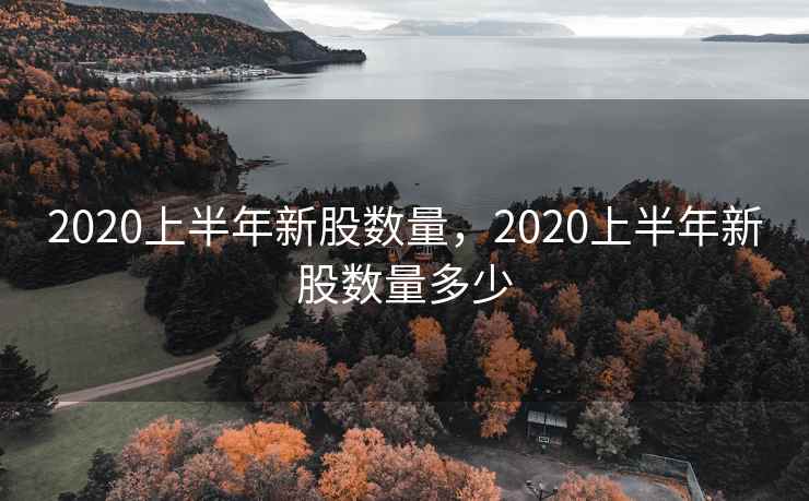 2020上半年新股数量，2020上半年新股数量多少