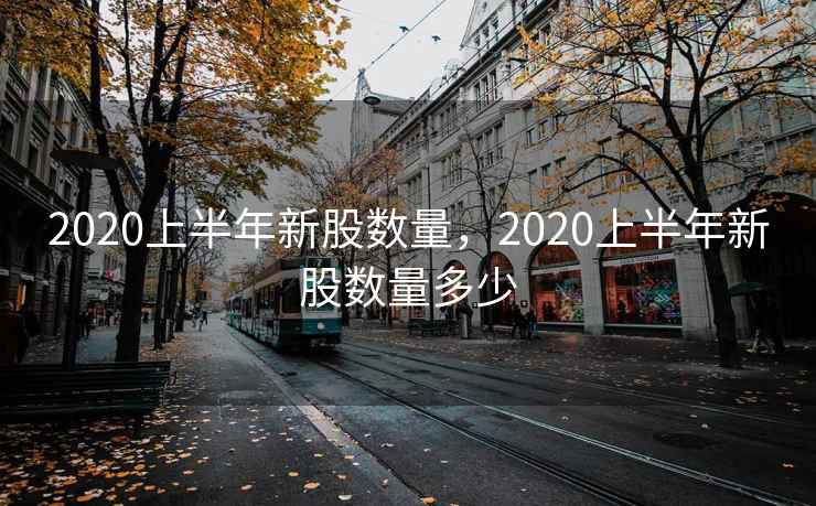 2020上半年新股数量，2020上半年新股数量多少