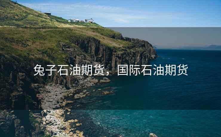 兔子石油期货,国际石油期货 兔子石油期货,国际石油期货