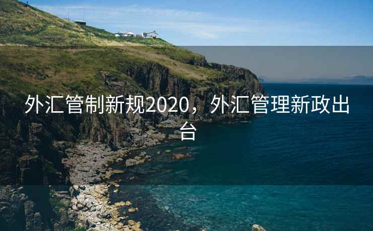 外汇管制新规2020，外汇管理新政出台