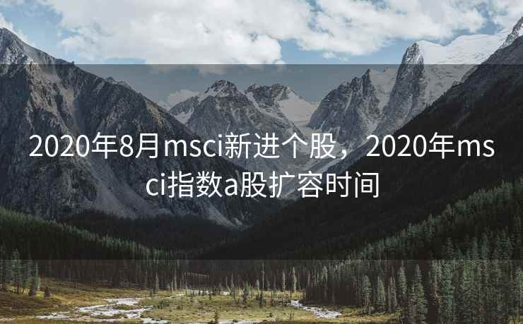 2020年8月msci新进个股，2020年msci指数a股扩容时间