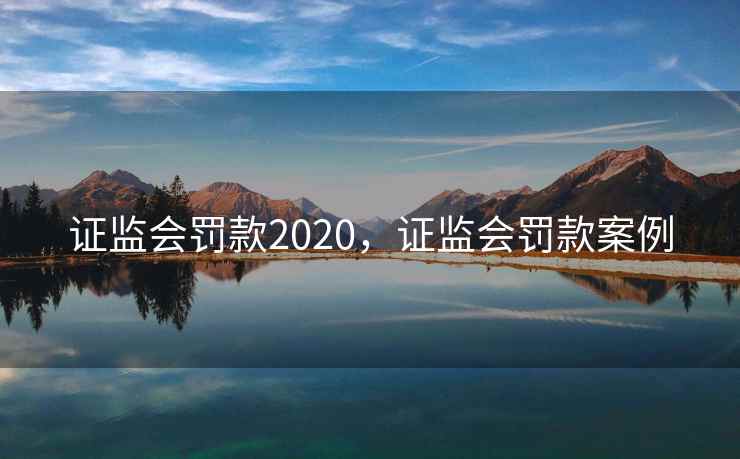 证监会罚款2020，证监会罚款案例