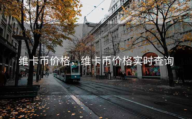 维卡币价格，维卡币价格实时查询