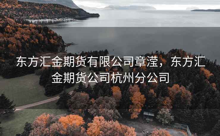 东方汇金期货有限公司章滢，东方汇金期货公司杭州分公司
