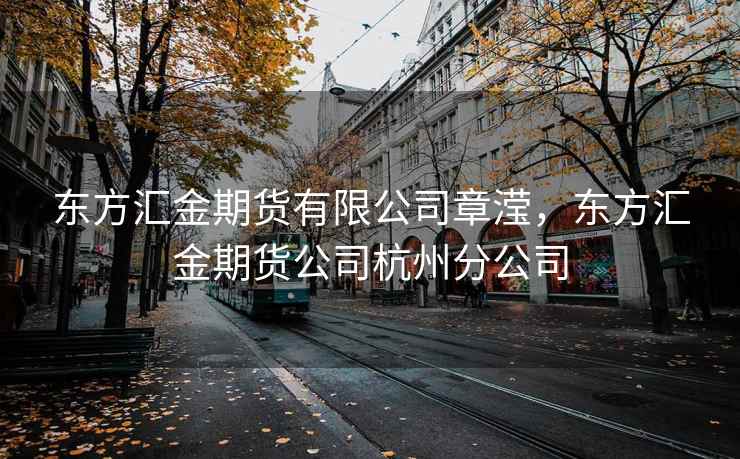 东方汇金期货有限公司章滢，东方汇金期货公司杭州分公司