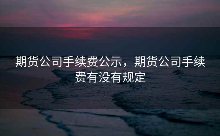期货公司手续费公示，期货公司手续费有没有规定
