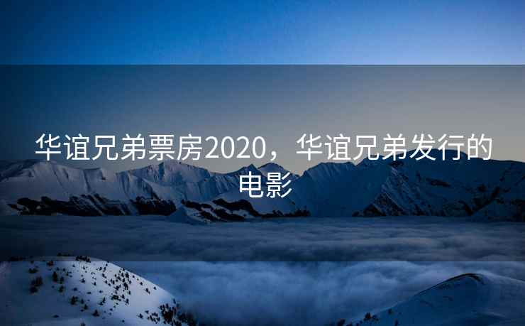 华谊兄弟票房2020，华谊兄弟发行的电影