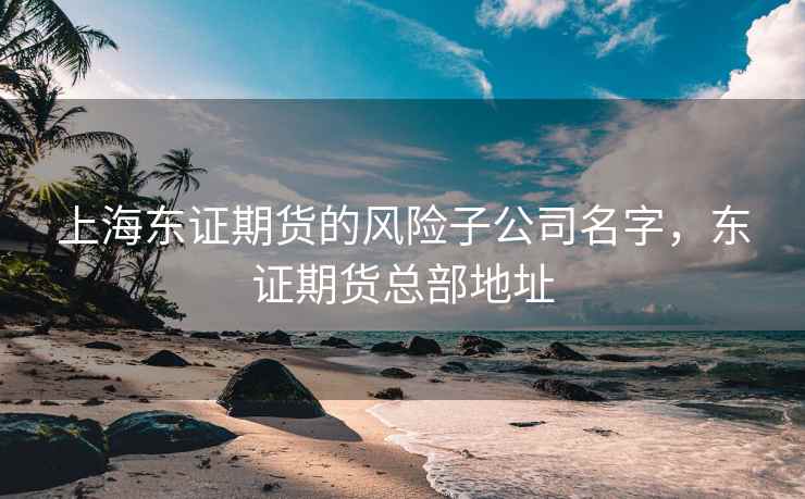 上海东证期货的风险子公司名字，东证期货总部地址