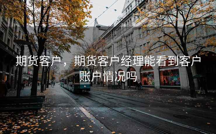 期货客户，期货客户经理能看到客户账户情况吗