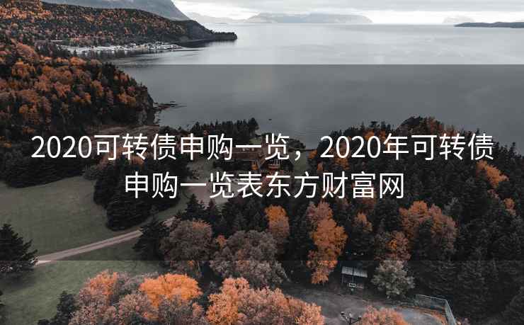 2020可转债申购一览,2020年可转债申购一览表东方财富网 2020可转债申购一览,2020年可转债申购一览表东方财富网