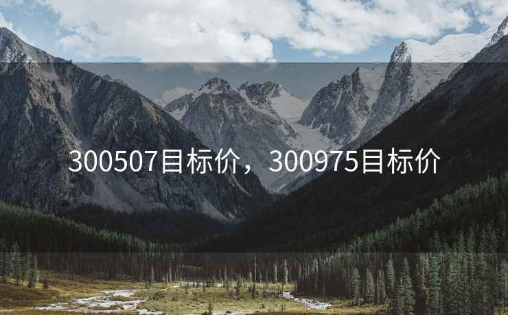 300507目标价，300975目标价