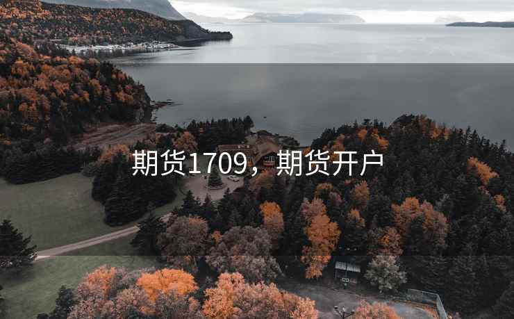 期货1709，期货开户