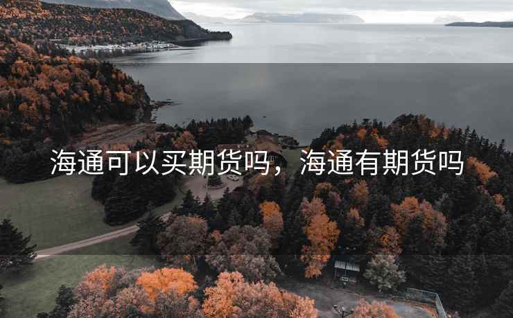 海通可以买期货吗,海通有期货吗 海通可以买期货吗,海通有期货吗