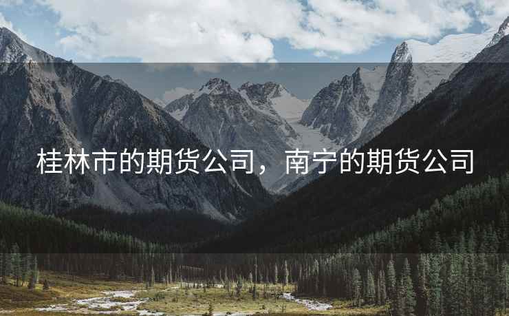 桂林市的期货公司，南宁的期货公司
